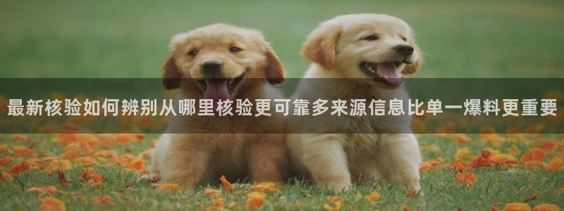 黑料今日话题
