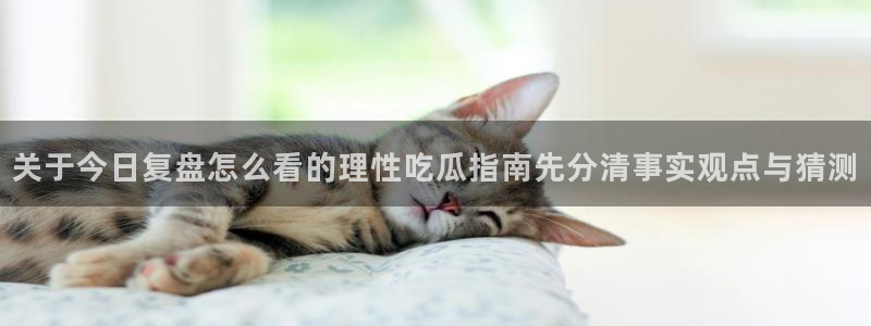 网络事件大全