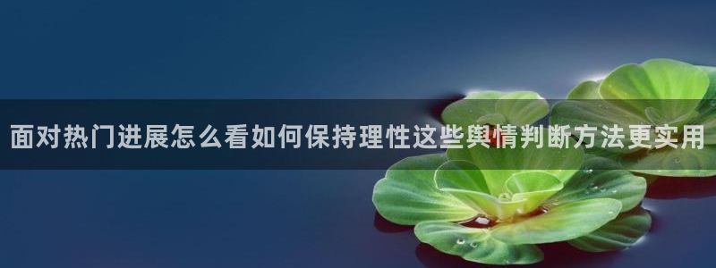 网络热门爆料