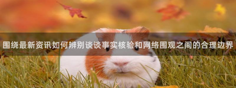 黑料爆料大全