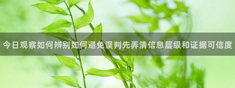 网络资讯动态