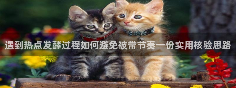 网络热门爆料