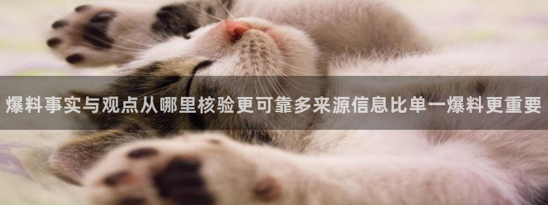 黑料爆料事件搜索