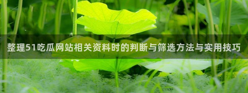 网络热点资讯
